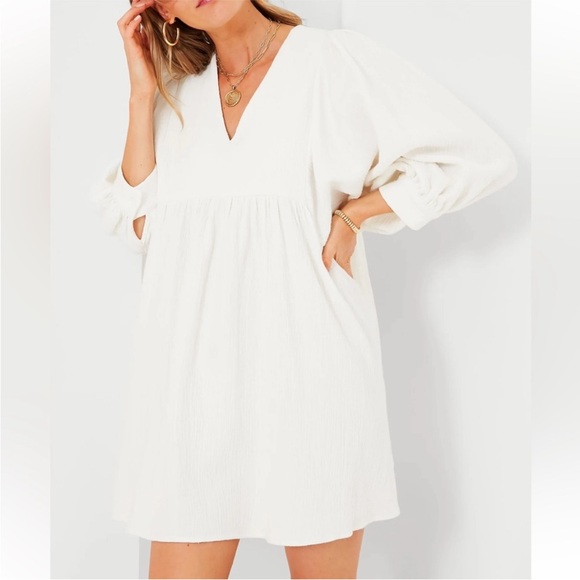 Pomander Place Millie gauze mini dress size L from Tuckernuck perfect condition - Picture 1 of 8